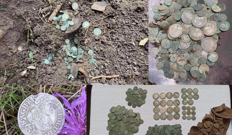 Read more about the article В Винницкой области нашли клад времен Речи Посполитой. Фото