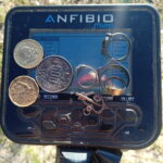 Золотые находки с металлоискателем Anfibio Multi
