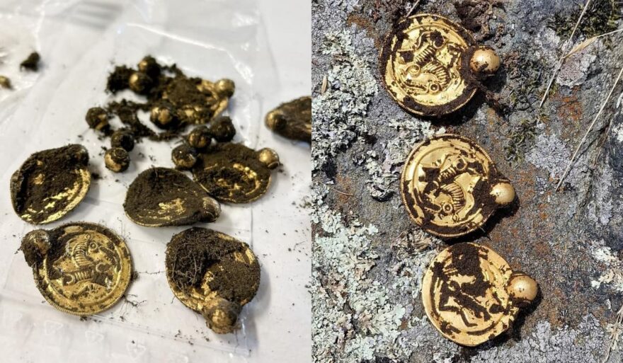 Детальніше про статтю Звичайний металошукач виявив “золоту знахідку століття” в Норвегії