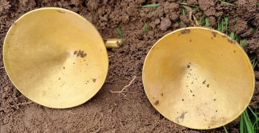 zolotu-znaxidku-malo-ne-pereplutali-z-molochnoyu-krishkoyu-1367659