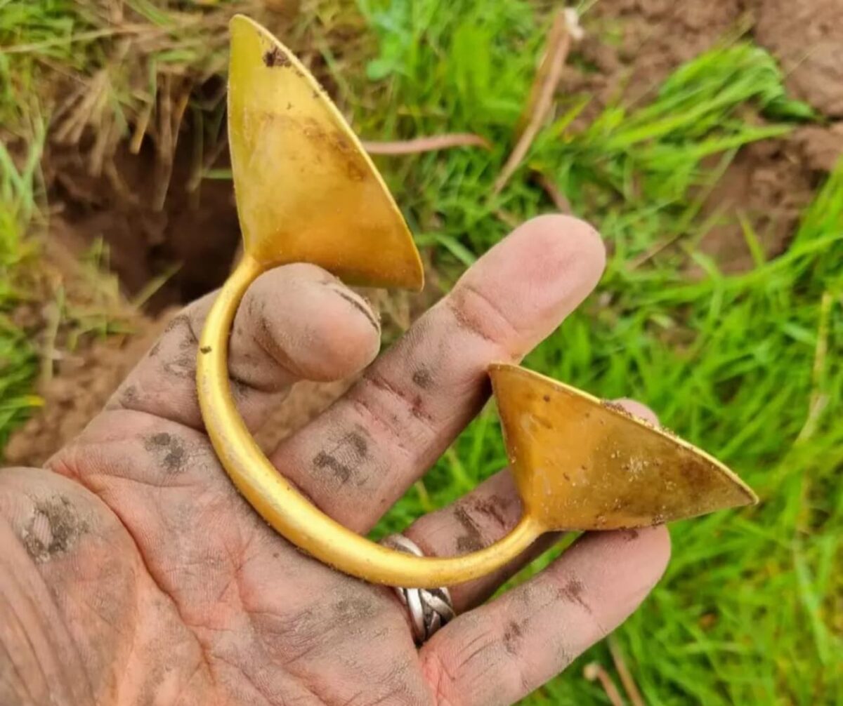 zolotu-znaxidku-malo-ne-pereplutali-z-molochnoyu-krishkoyu-2043158