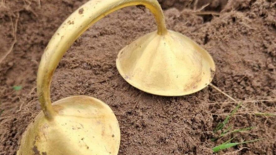 zolotu-znaxidku-malo-ne-pereplutali-z-molochnoyu-krishkoyu-2647309