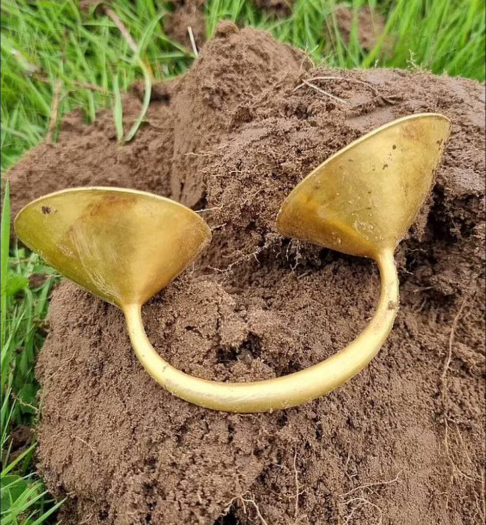 zolotu-znaxidku-malo-ne-pereplutali-z-molochnoyu-krishkoyu-6388661