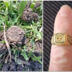 Золоті знахідки з металошукачем Nokta Legend 2 - фото #17325