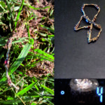 Золоті знахідки з металошукачем Nokta Legend 2 - фото #17347