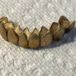 Зуби як знахідка. Приміряти будете? - фото #17367