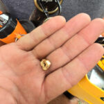 Зуби як знахідка. Приміряти будете? - фото #17366