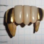 Зуби як знахідка. Приміряти будете? - фото #17359