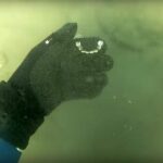 Зуби як знахідка. Приміряти будете? - фото #17360