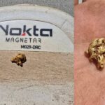 Золоті знахідки з металошукачем Nokta Magnetar 9000 - фото #18874